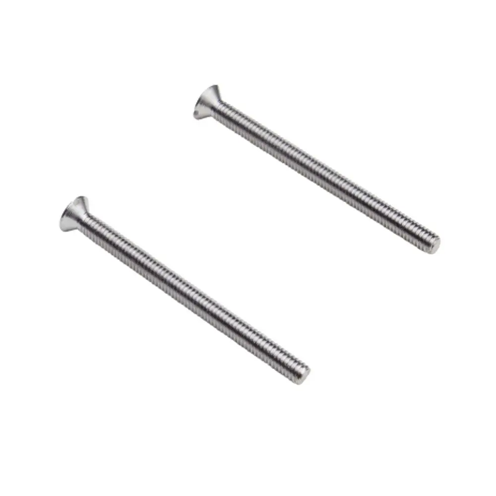 Zwei metallische Linsensenkschrauben von Hansgrohe, mit flachen Köpfen und Gewinde, auf hellem Hintergrund angeordnet.